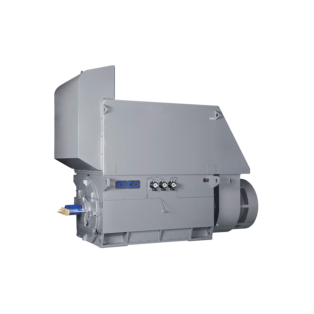 Medium-Voltage Motors