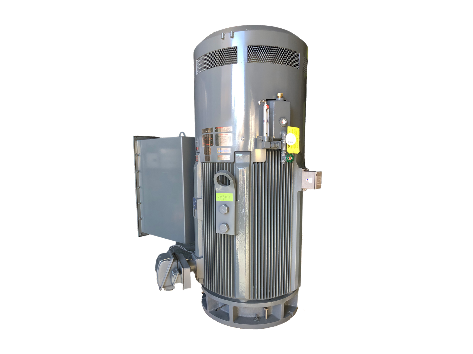 High-Voltage TEFC Pump Motors