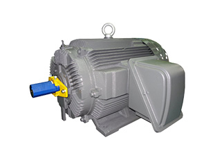Low Voltage Motors (IEC Standard)
