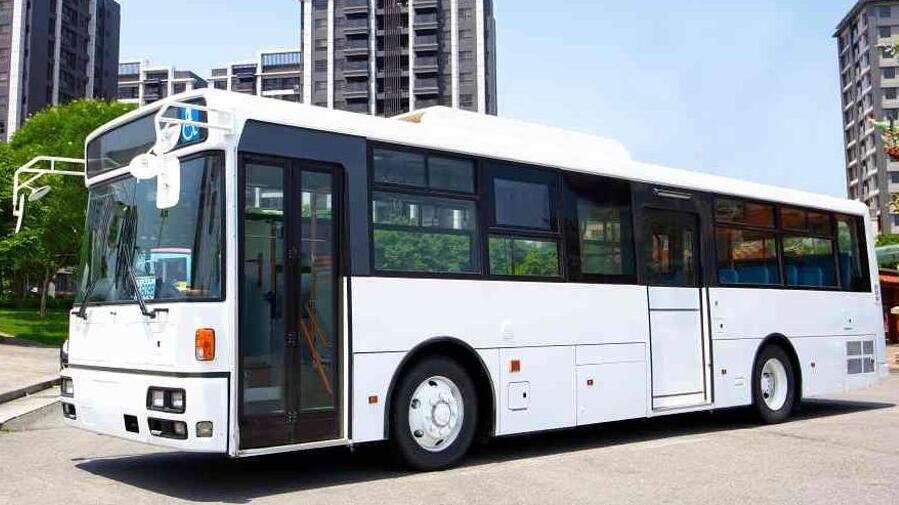 DMIT 12 m EV Bus