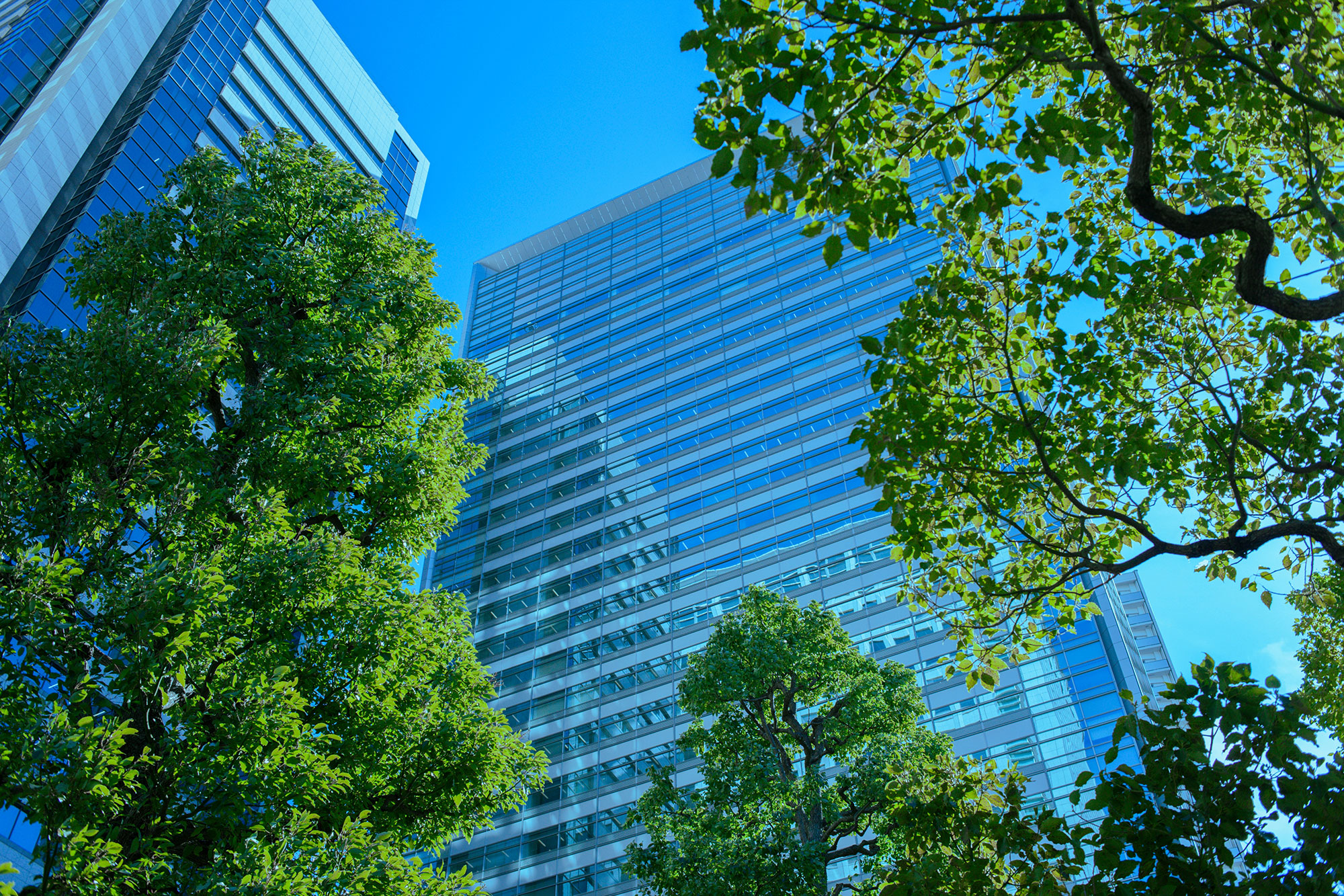 Commercial Offices and Business Locations