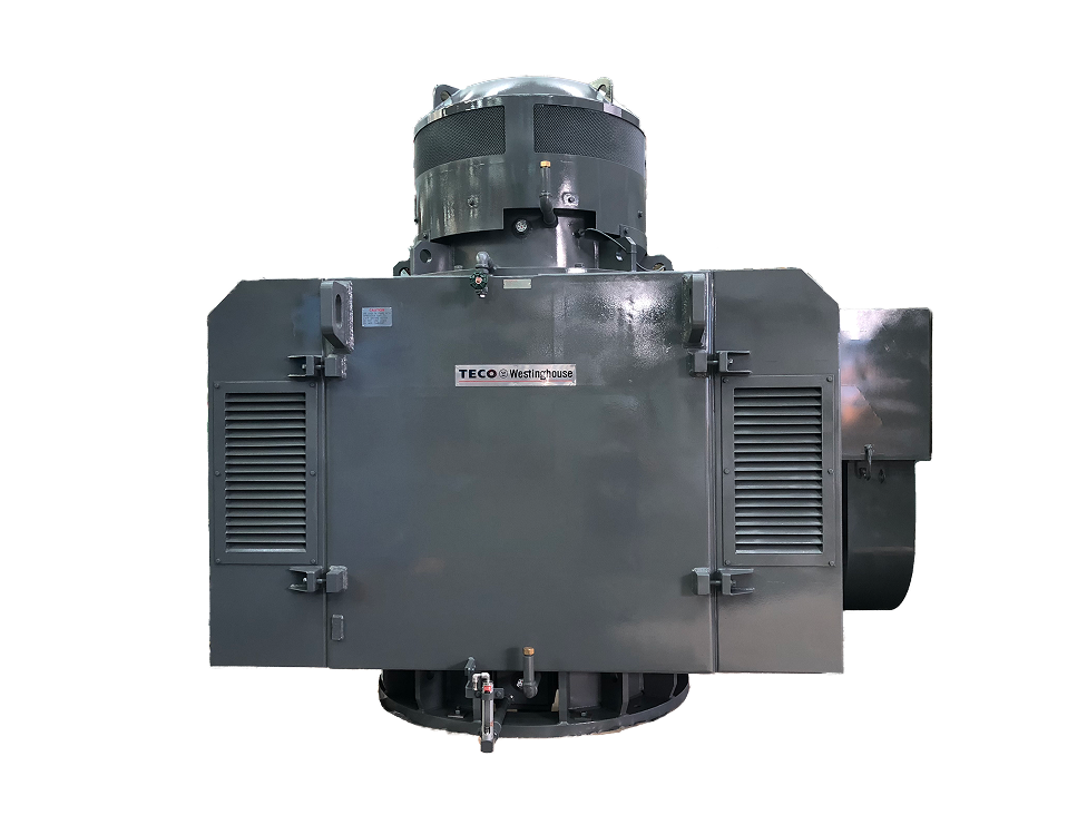 High-Voltage WPII Pump Motors