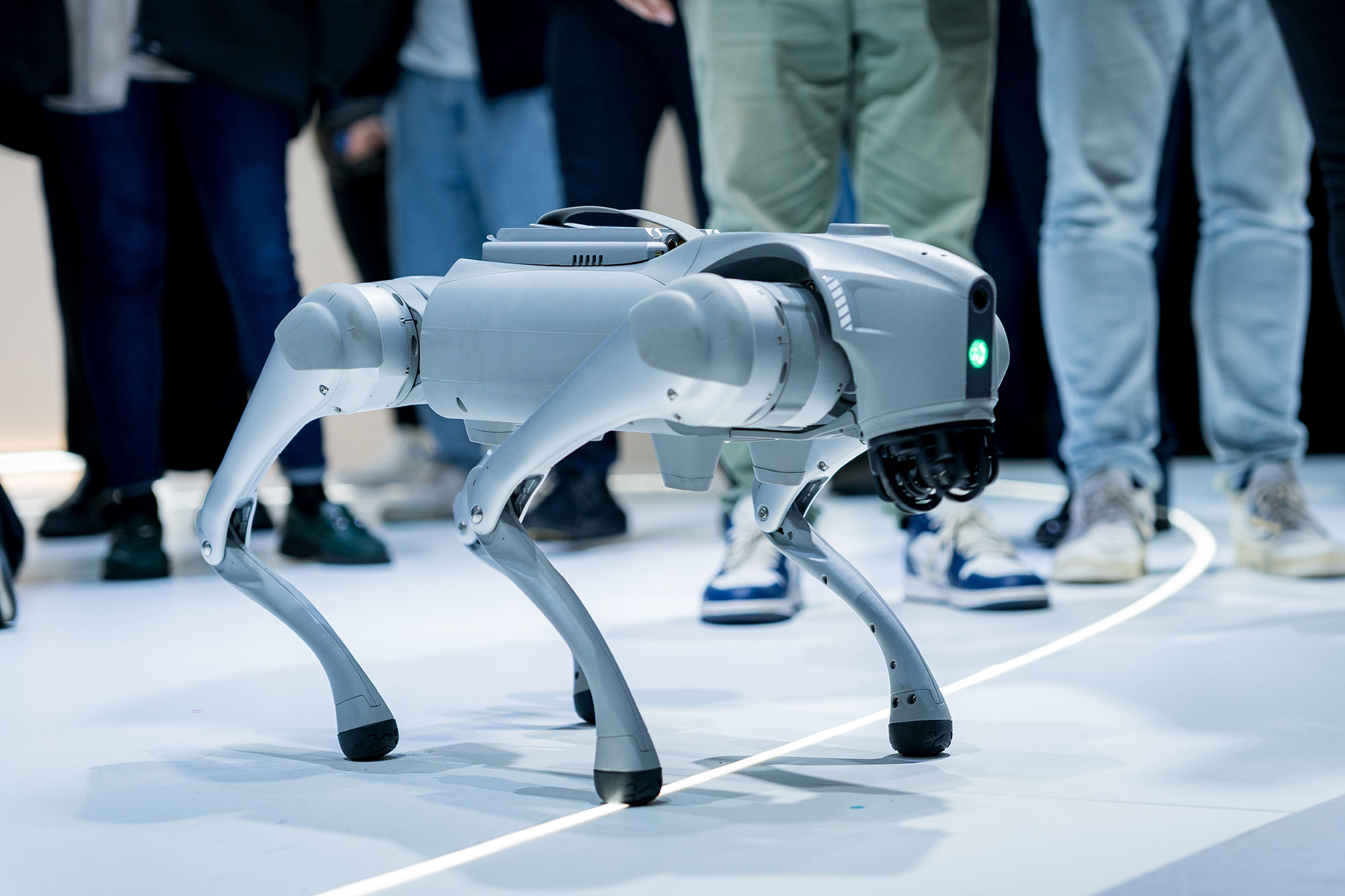 Quadruped Robot Applications