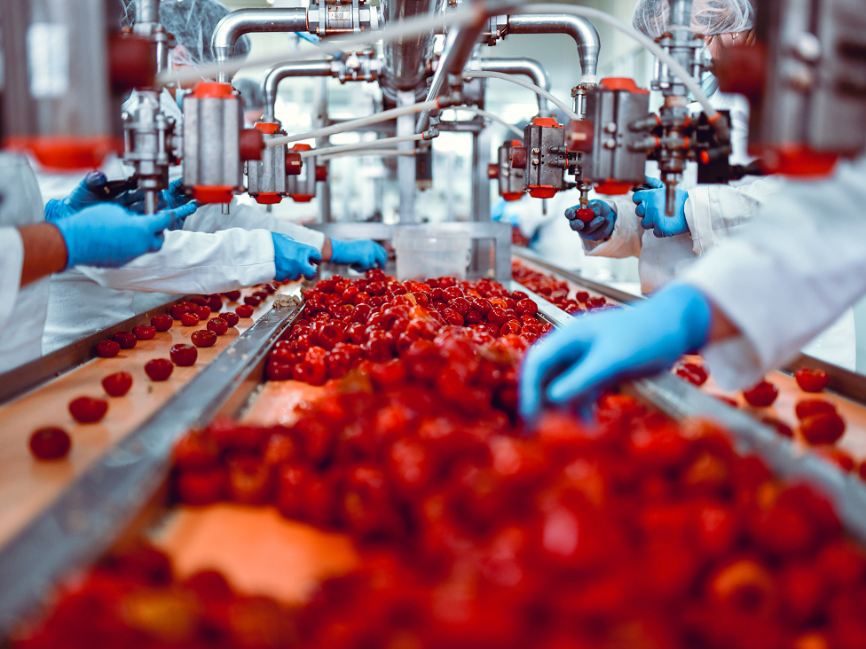 Food and Beverage Factories