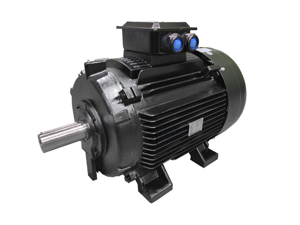 鑄鐵殼V系列自冷式永磁馬達